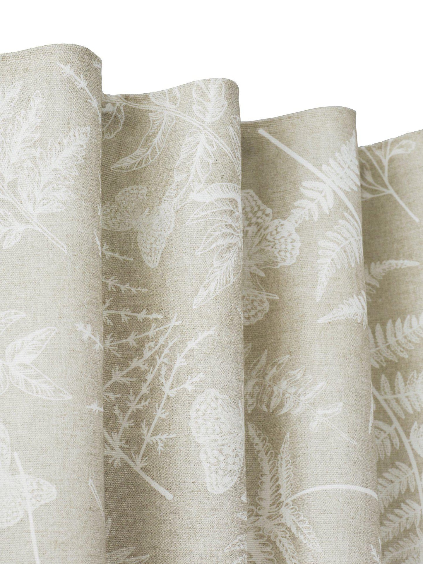 Fern Gardin 2P